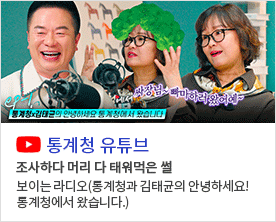 ep-1 통계청X김태균의 안녕하세요 통계청에서 왔습니다 사장님 빠마하러왔 어예~ 통계청 유튜브 조사하다 머리 다 태워먹은 썰 보이는 라디오(통계청과 김태균의 안녕하세요! 통계청에서 왔습니다.)